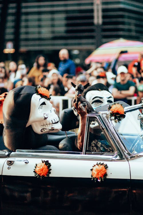 Základová fotografie zdarma na téma auto, automobilové závody, bailar