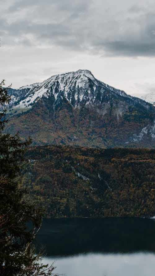 Kostenloses Stock Foto zu alps, autumn, bäume