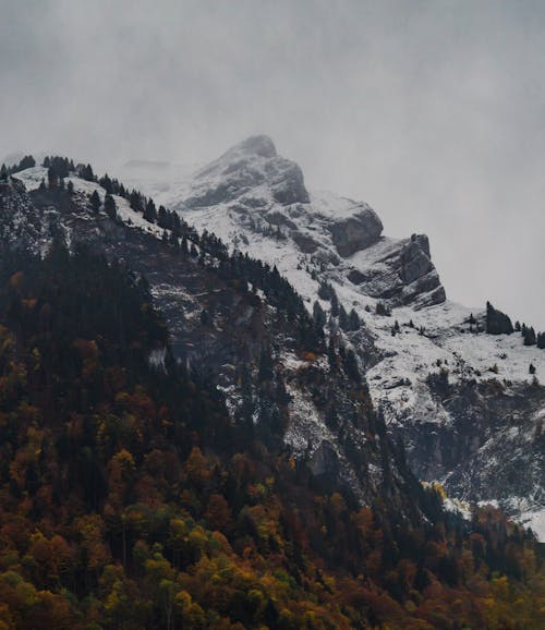 Kostenloses Stock Foto zu alps, autumn, bäume
