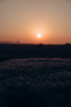 A serene sunset view over a landscape with morning dew glistening in soft light.