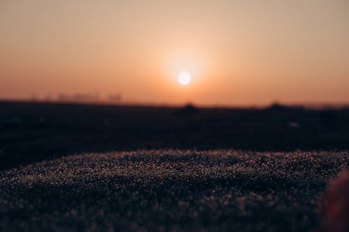 Close-up of the Ground with the View of Sunset in the Background 