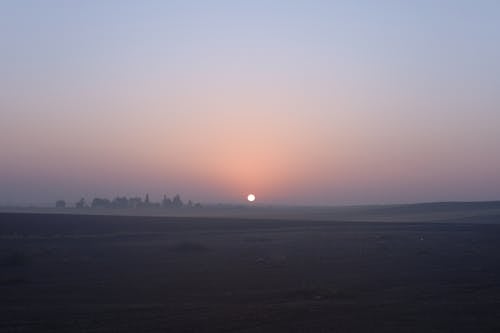 View of a Foggy Field at Sunset 