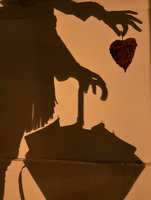 Shadow of Hand Holding Leaf and Umbrella