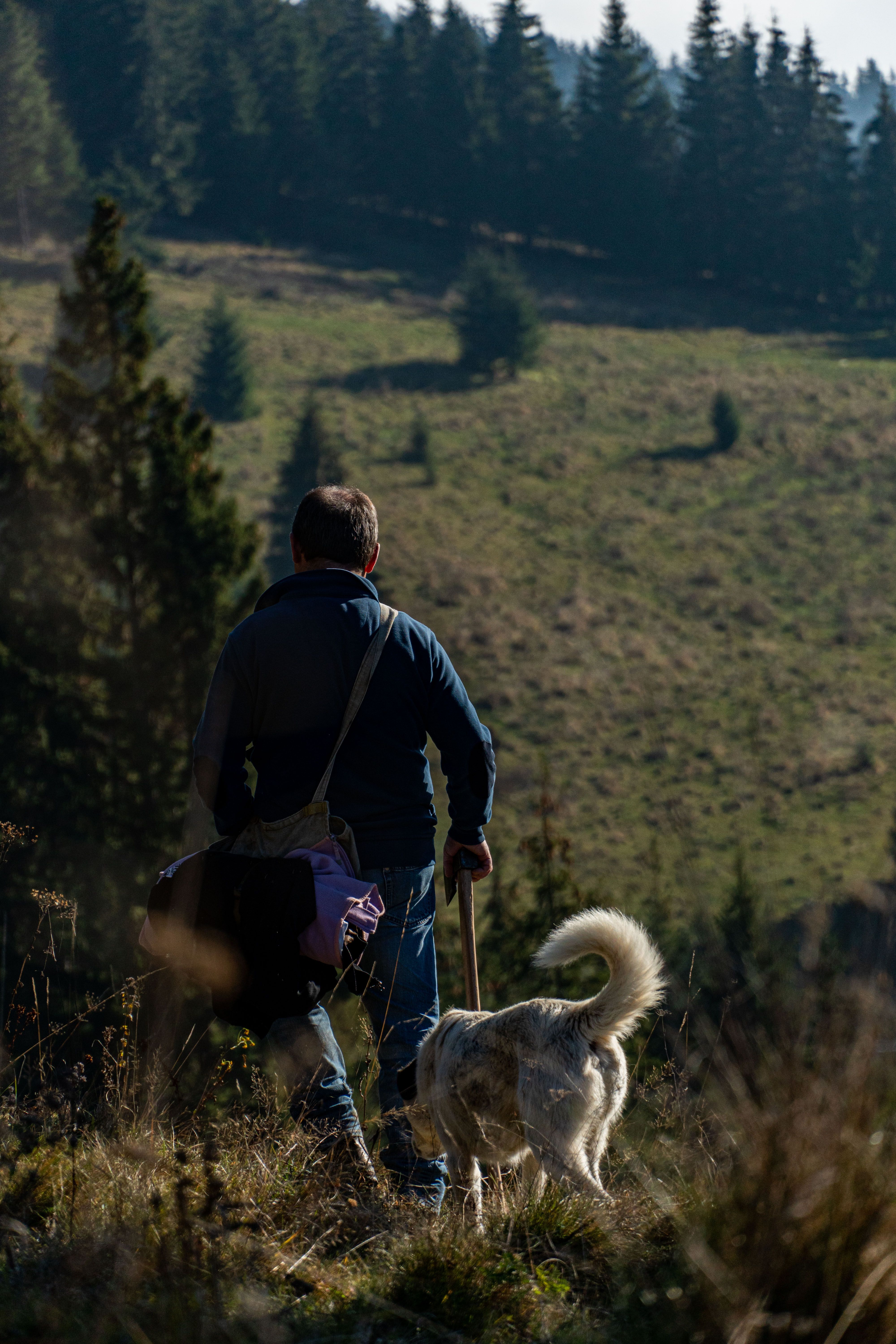 Man with Dog in Mountains · Free Stock Photo