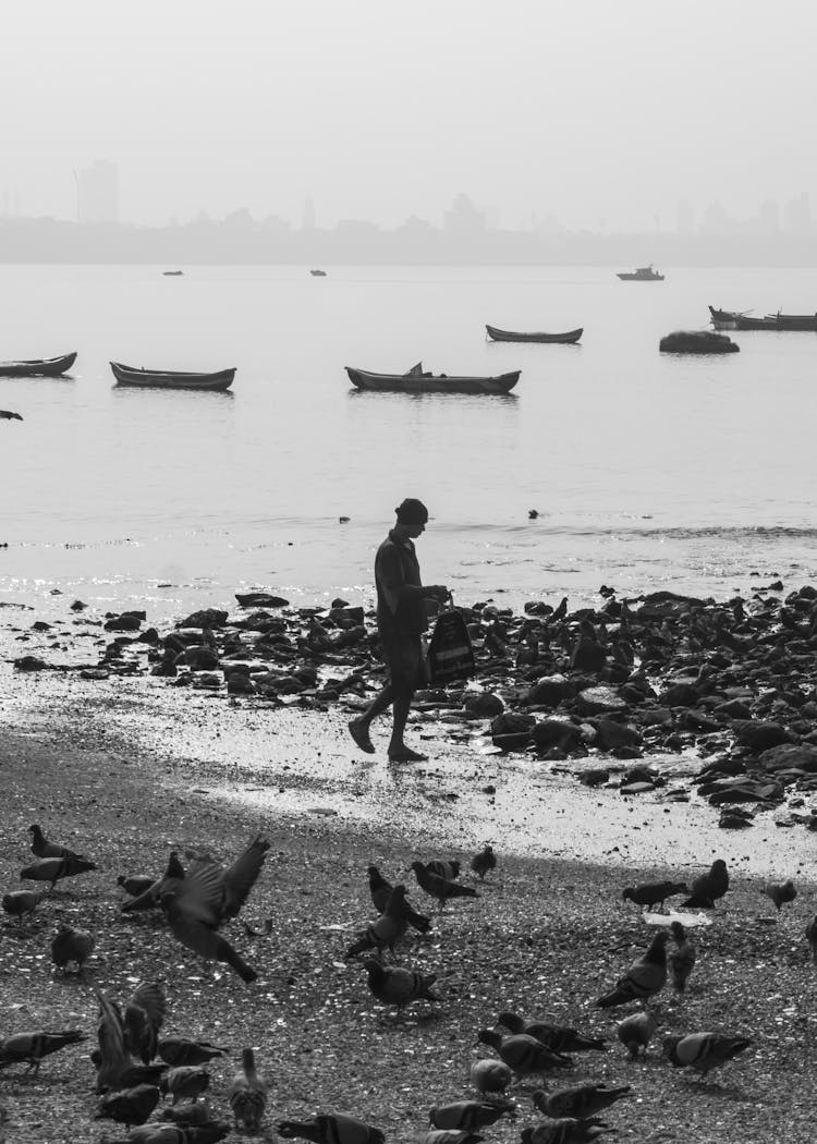 A Man Walking On The Beach Alone 