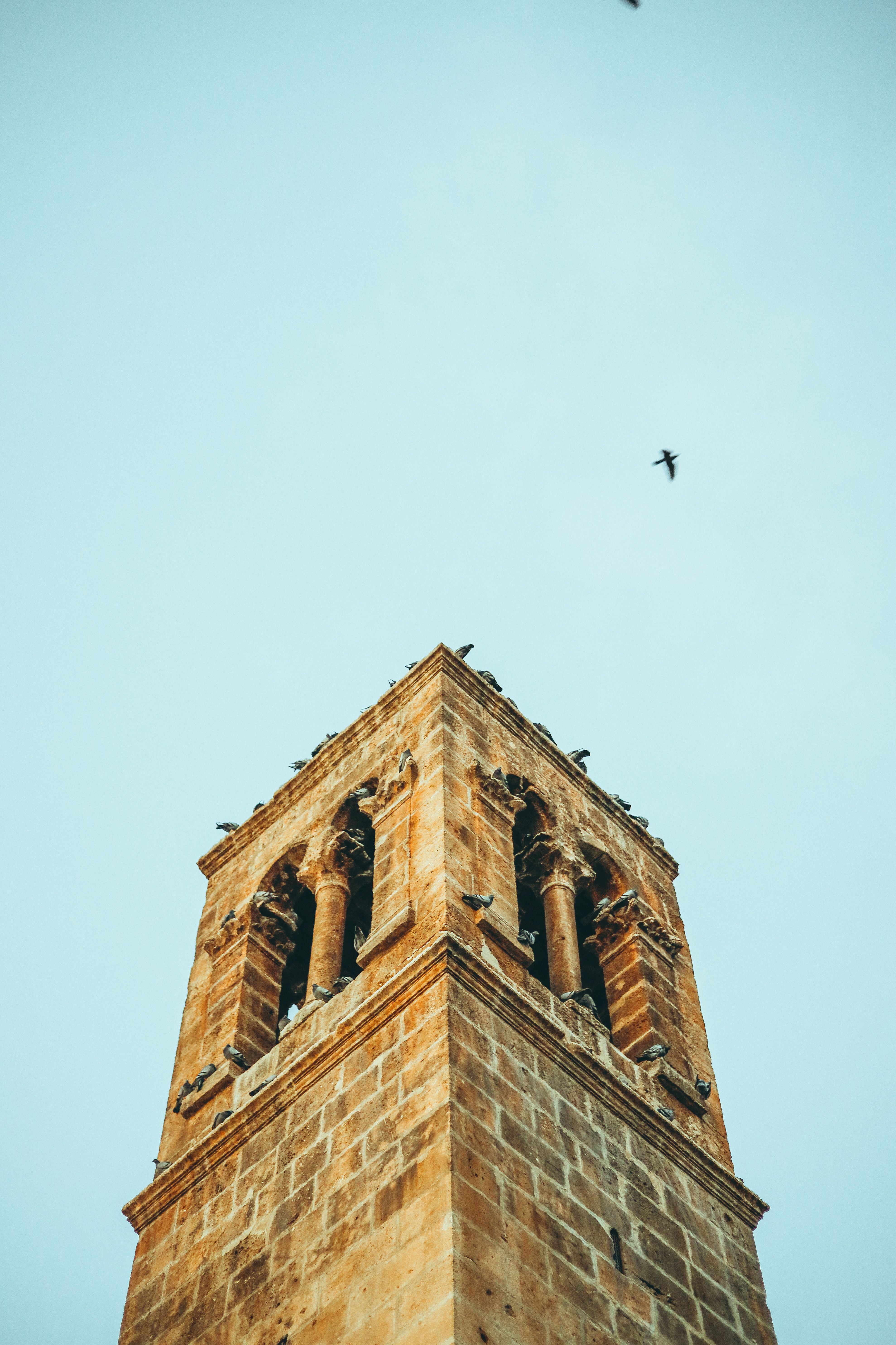 De franc Foto d'estoc gratuïta de a l'aire lliure, angle baix, antic edifici Foto d'estoc