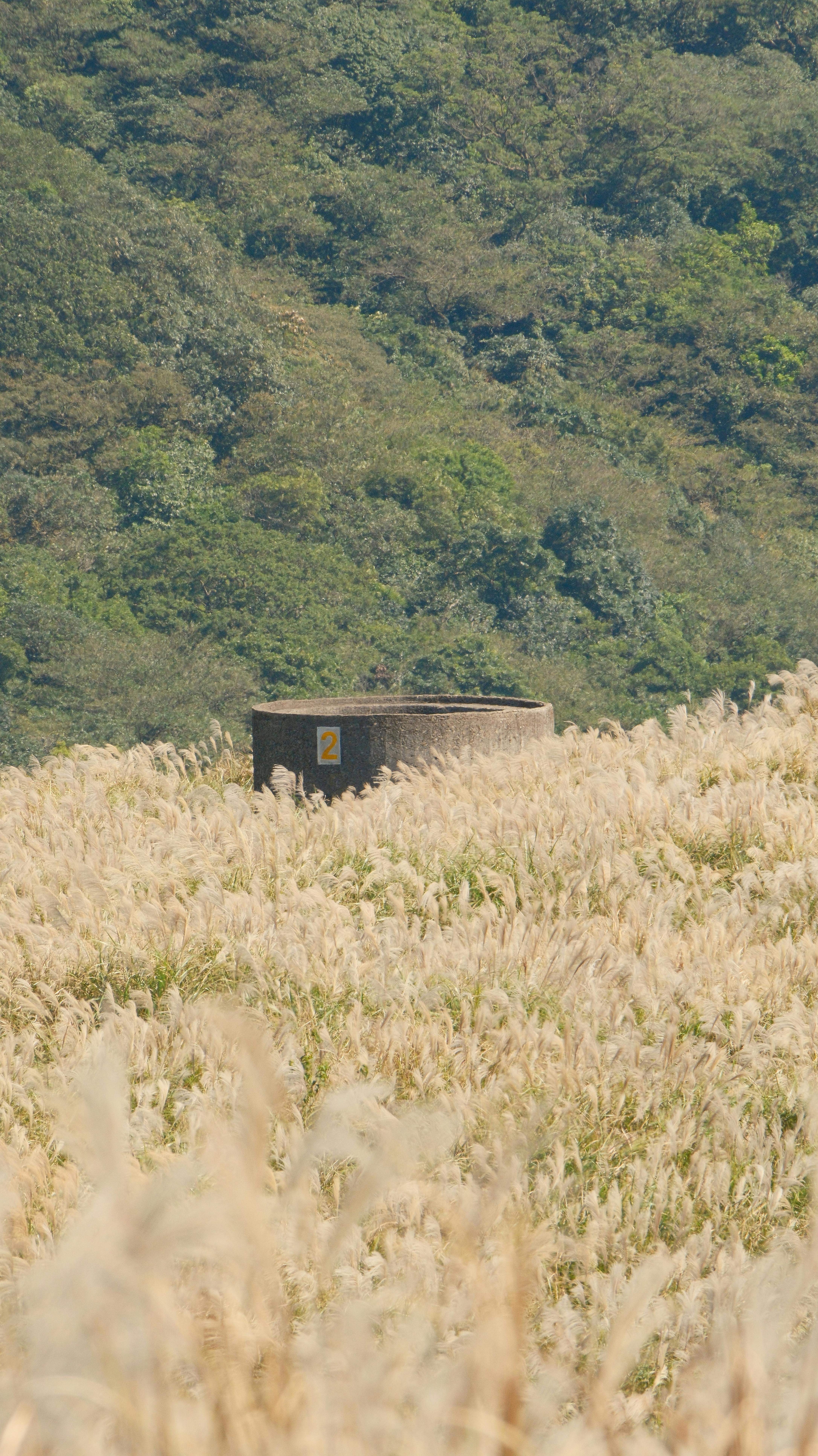 Beautiful rural landscape with grassland and building in Taipei, Taiwan.