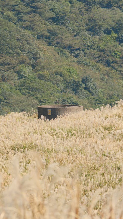 건물, 농촌의, 목초의 무료 스톡 사진