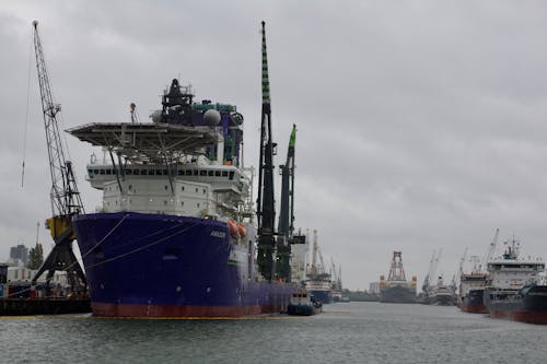 Transportation Ships Moored in Harbor