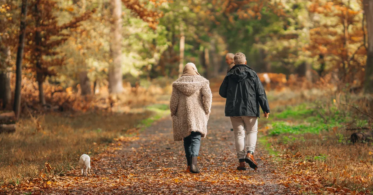 A couple walking a dog along a forest path in autumn