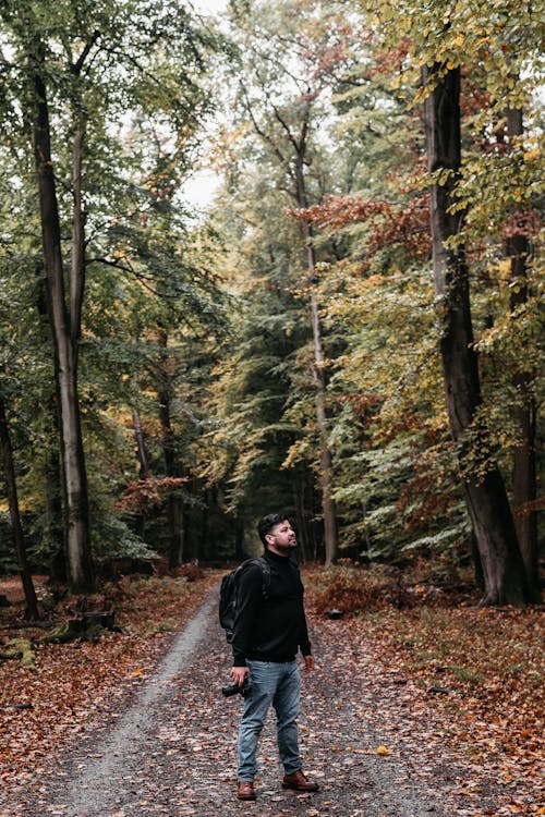 Man Standing on a Pavement between Autumnal Trees in a Park 