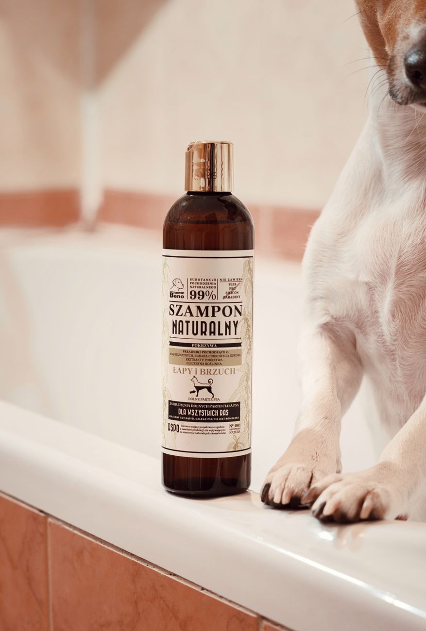 Bottle of dog shampoo beside a grooming brush on a bathroom shelf