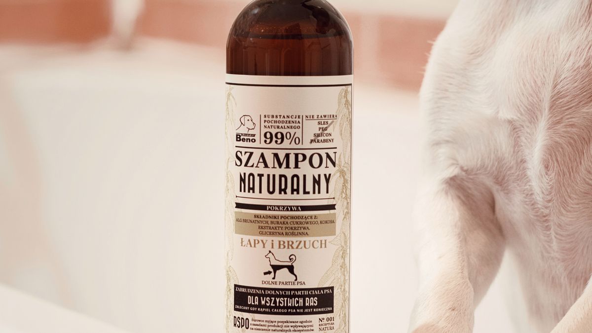 How Often Should You Bathe Your Dog? A Coat-and-Lifestyle Planner for Canada