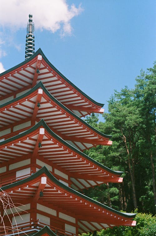 Traditional Pagoda in a Park