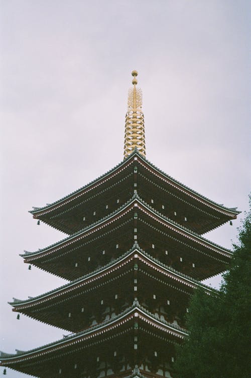 Buddhist Temple Building
