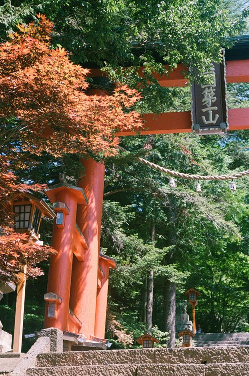 Free A beautiful Japanese torii gate surrounded by autumn leaves, symbolizing peace. Stock Photo