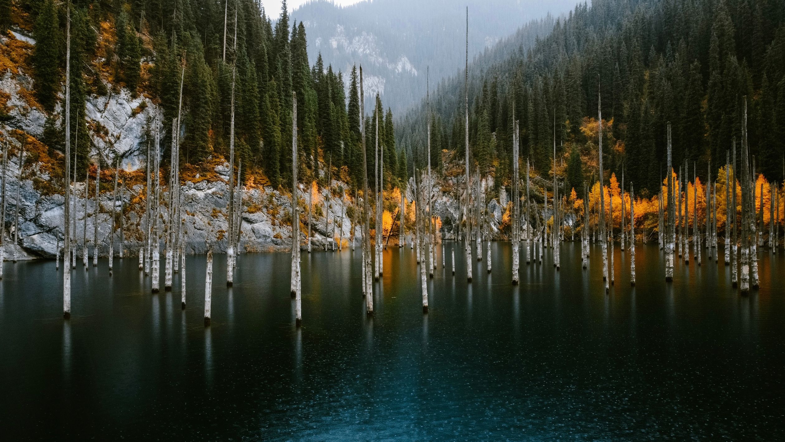 Bare Trees In Kaindy Lake In Kazakhstan Free Stock Photo bare-trees-in-kaindy-lake-in-kazakhstan-free-stock-photo