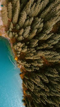 Drone shot capturing a dense evergreen forest meeting a serene turquoise lake from above.