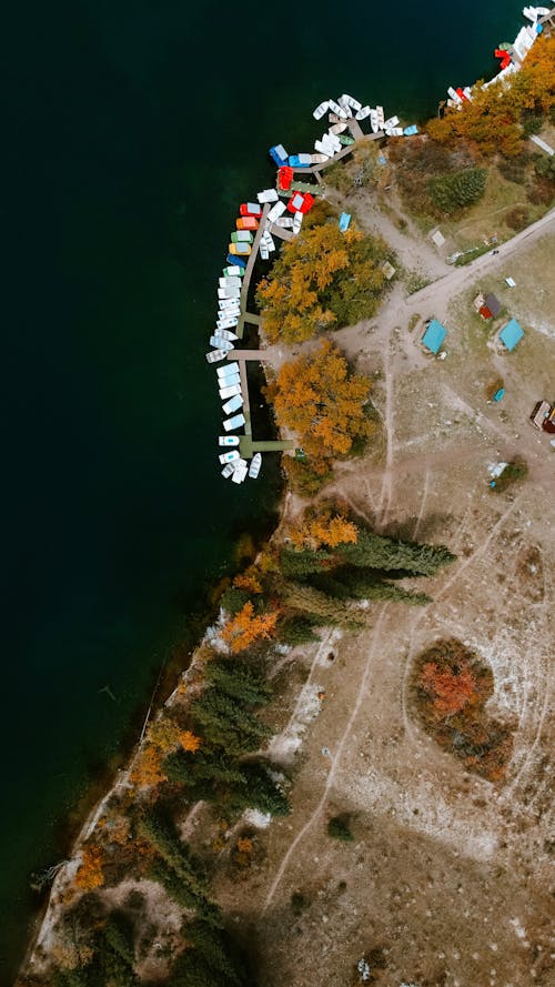 Fotos de stock gratuitas de a orillas del lago, amarrado, arboles