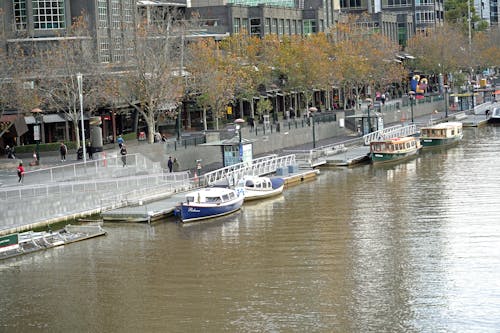 Immagine gratuita di autunno, barche, fiume