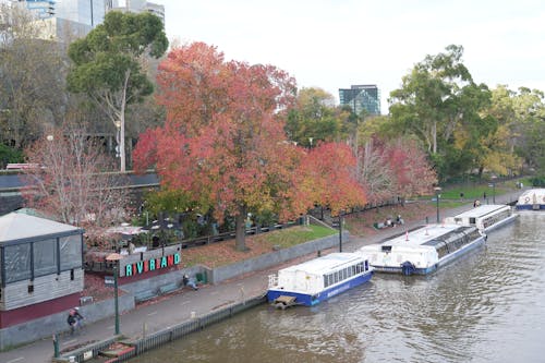 Immagine gratuita di autunno, barche, colori autunnali