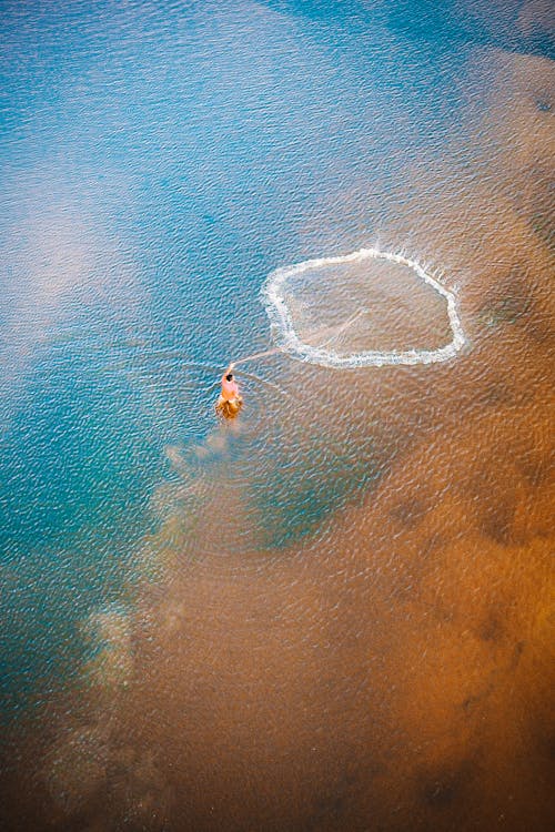 Aerial View of a Person Swimming in the Water 