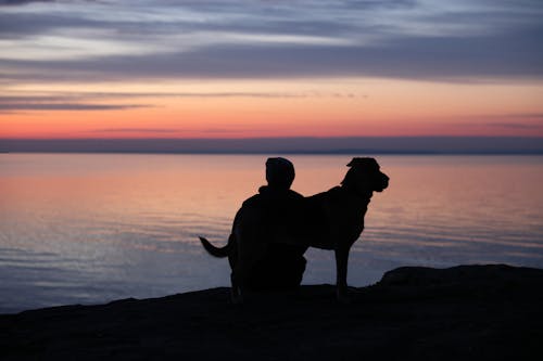 Silhouette of a Man with a Dog Sitting on a Beach at Sunset