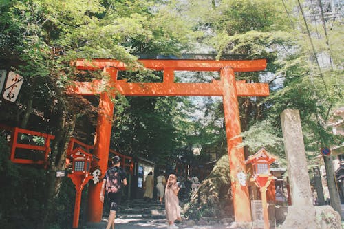 Foto stok gratis gerbang, gerbang masuk, Jepang