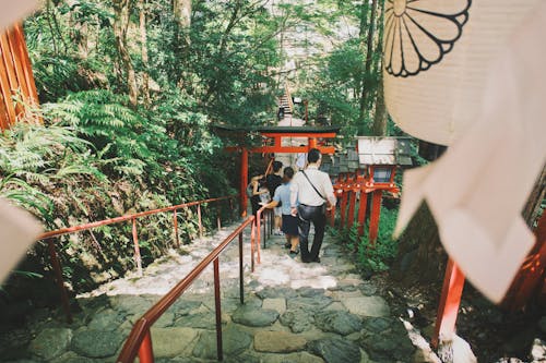 京都, 公園, 地標 的 免费素材图片