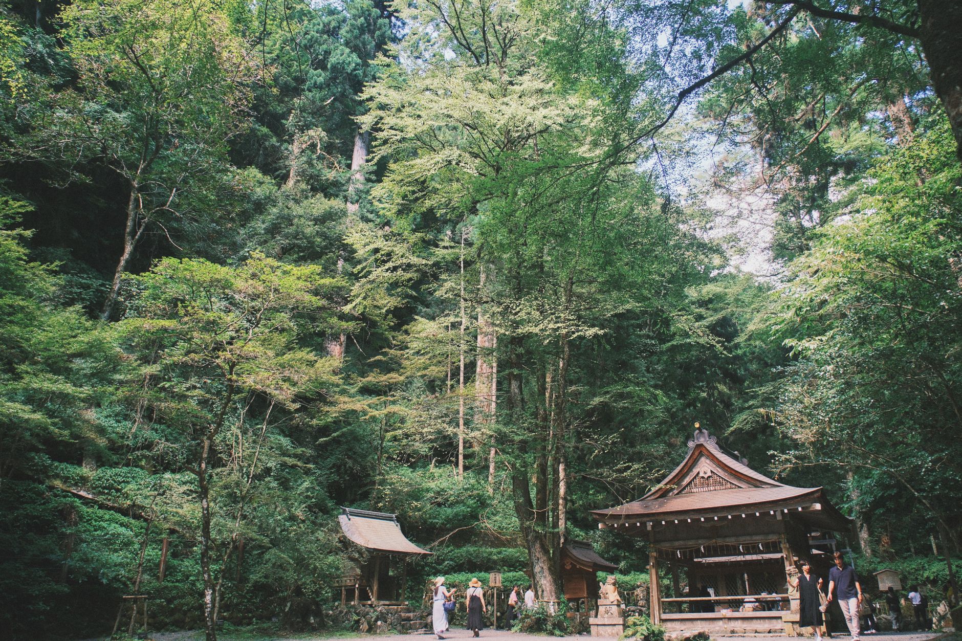 人生に疲れた時に行きたい関東のパワースポット・神社2選|神聖な空気で心を落ち着かせよう