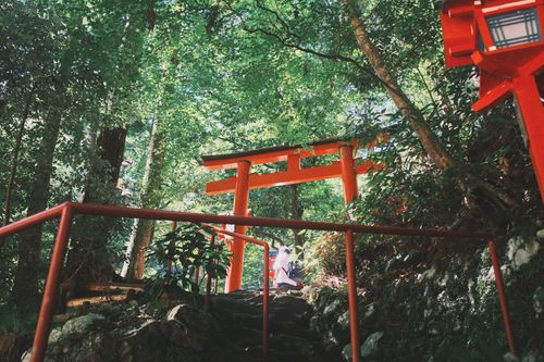 Free Explore the lush greenery and iconic red torii gates at Kyoto's Kifune Shrine. Perfect for travel enthusiasts. Stock Photo