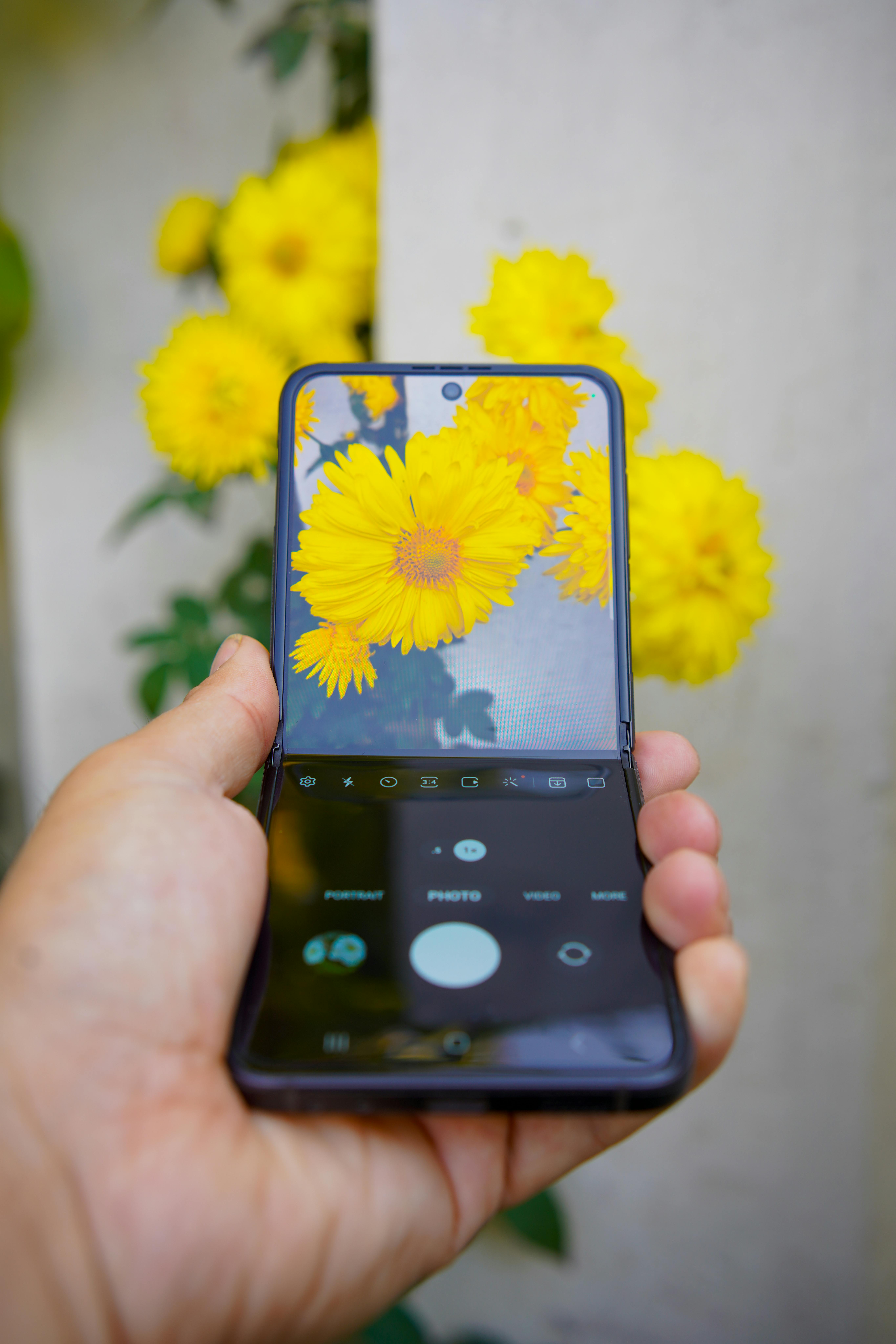 Close-up of yellow flowers viewed on a folding smartphone screen outdoors.