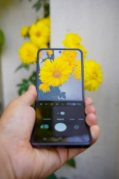 Close-up of yellow flowers viewed on a folding smartphone screen outdoors.