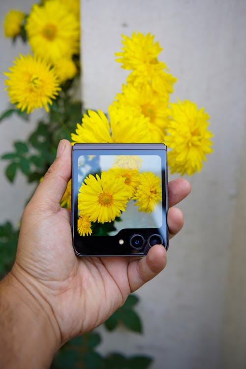 Man Photographing Flowers with Foldable Smartphone