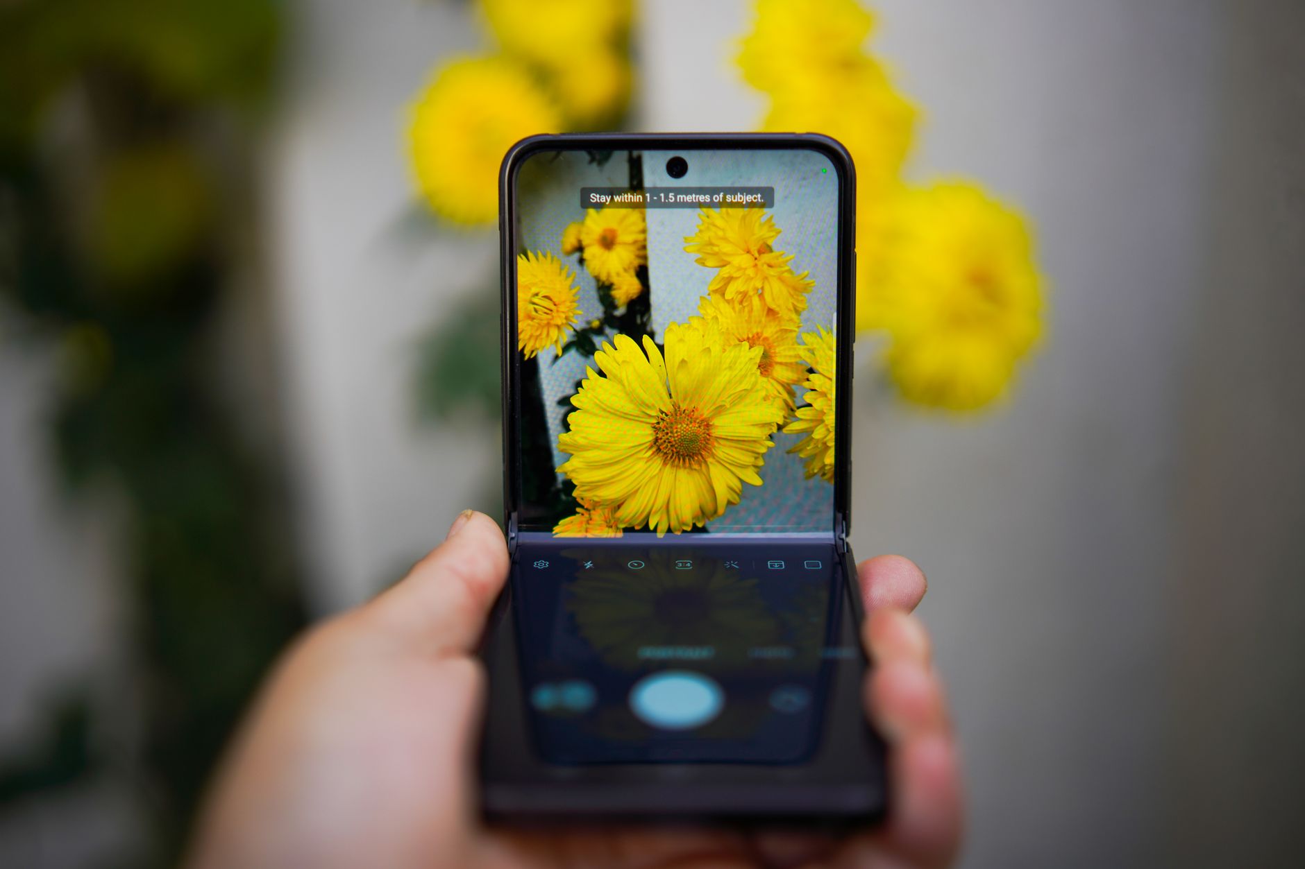 A smartphone capturing vivid yellow flowers, showcasing technology and nature interaction.