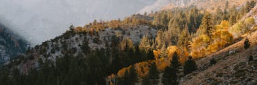 Free Stock Photos Royalty Free Stock Images Copyright Free Pictures Free Stock Photos Royalty Free Stock Images Copyright Free Pictures