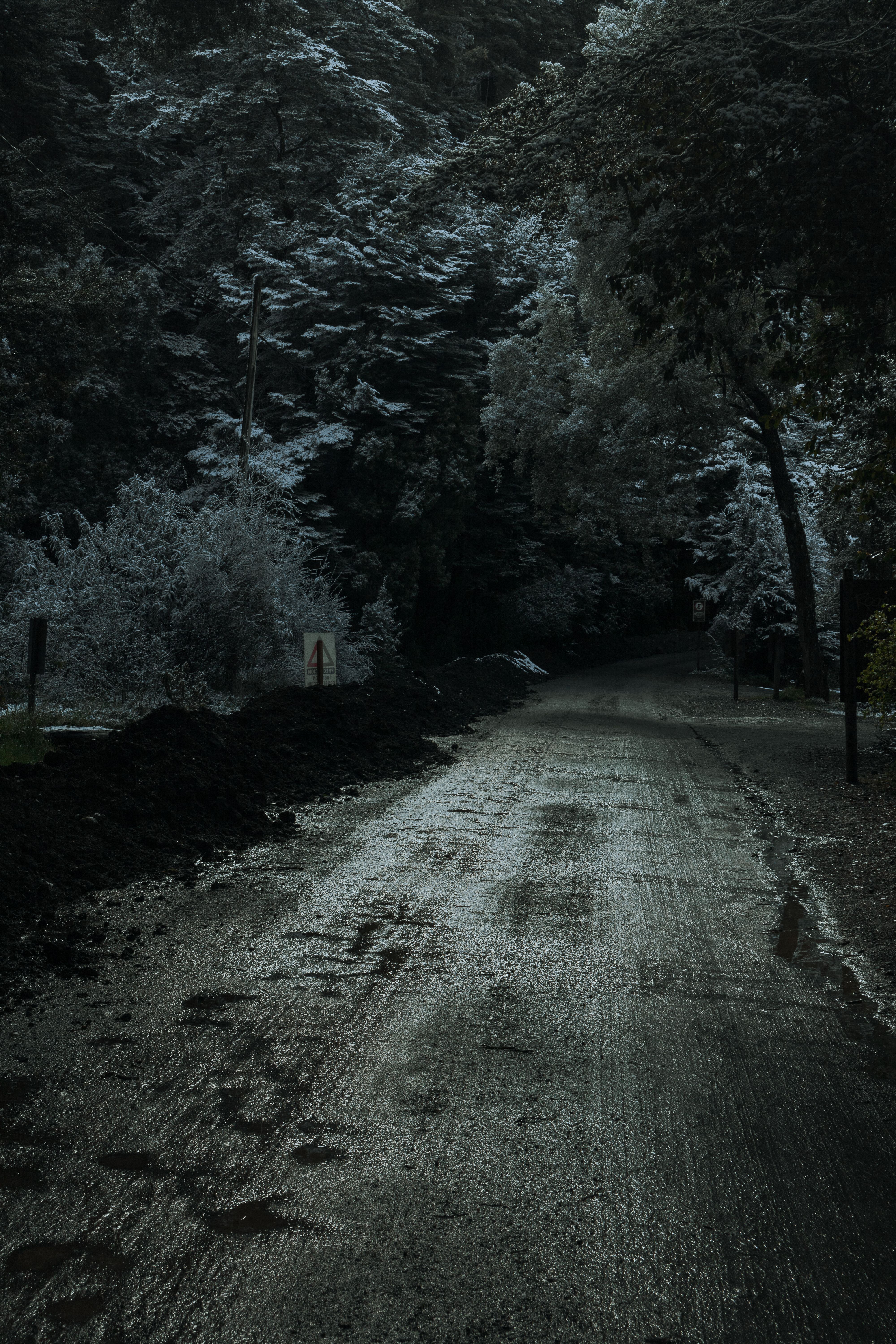Dirt Road in Forest in Winter · Free Stock Photo