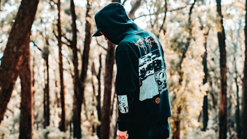 Man in a Hoodie Standing among Forest Trees 