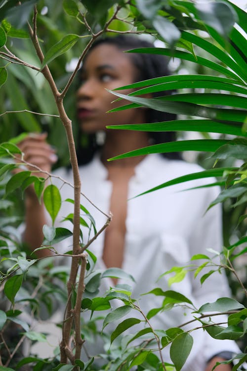 無料 白いシャツを着ている女性の近くの緑の葉植物の選択的な焦点 写真素材