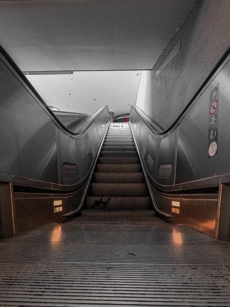 Gray, Empty Escalator