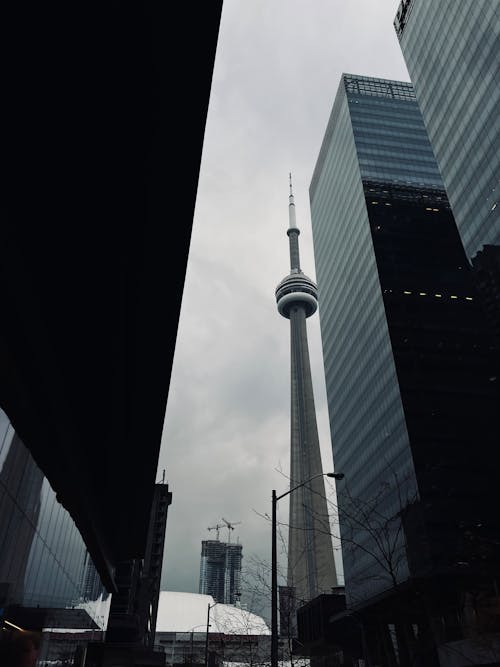 Fotobanka s bezplatnými fotkami na tému centrálne štvrte, centrum mesta, CN Tower