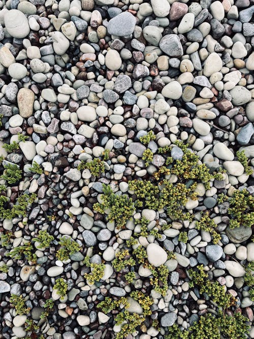 Stones and Pebbles on Ground