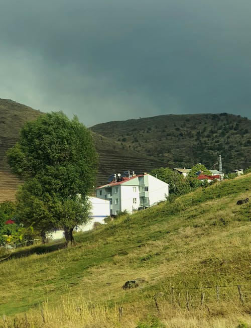 House Building on a Field