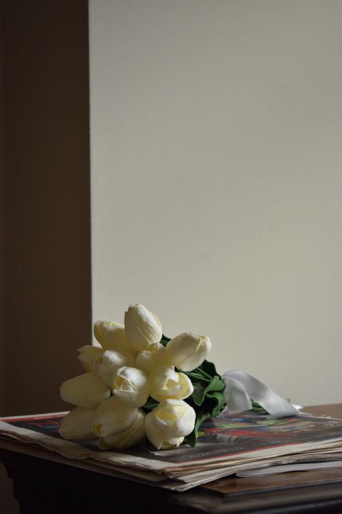 Free A soft-focus image featuring a bouquet of white tulips resting on a table, exuding elegance. Stock Photo
