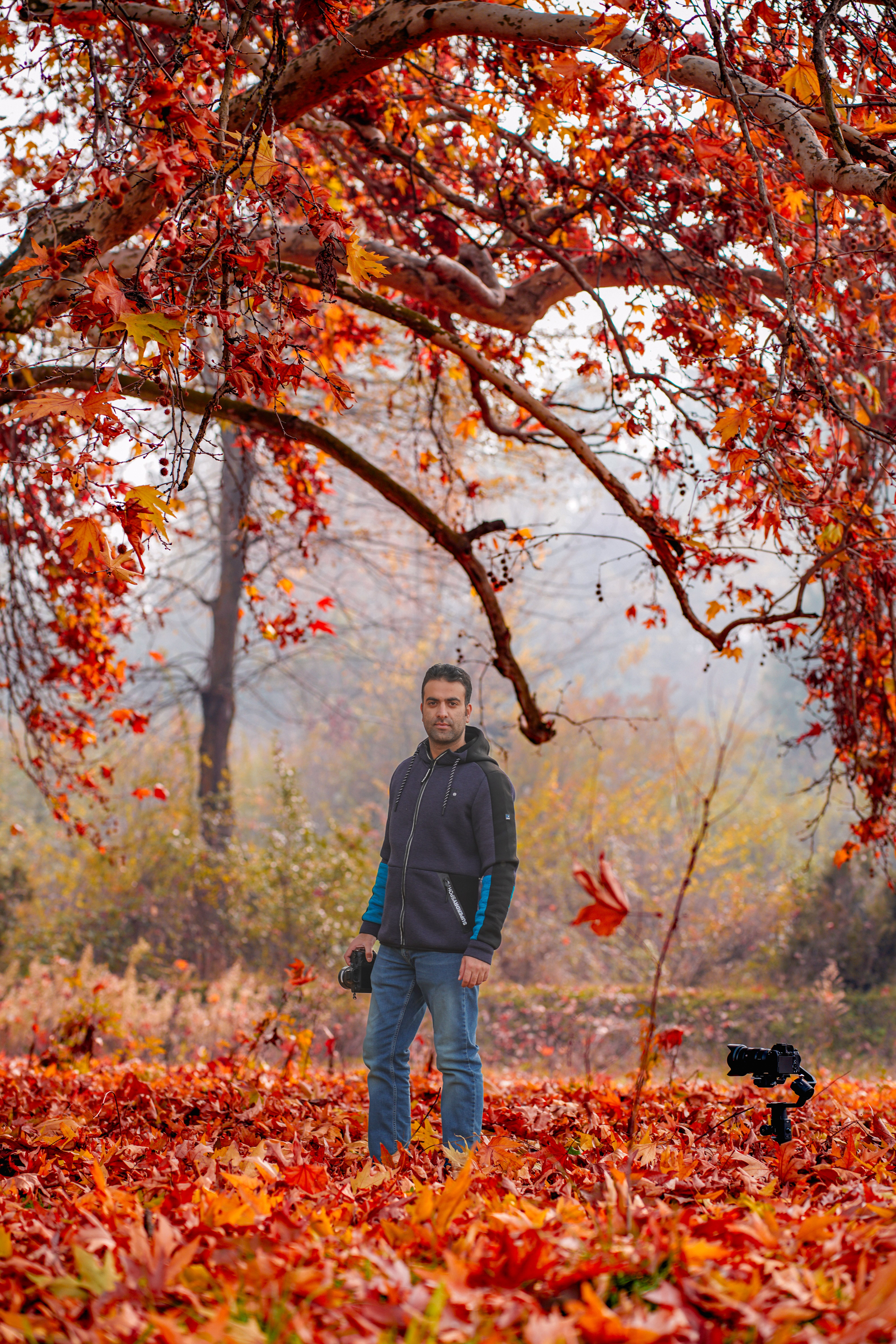 Man Standing under Red Tree in Autumn · Free Stock Photo