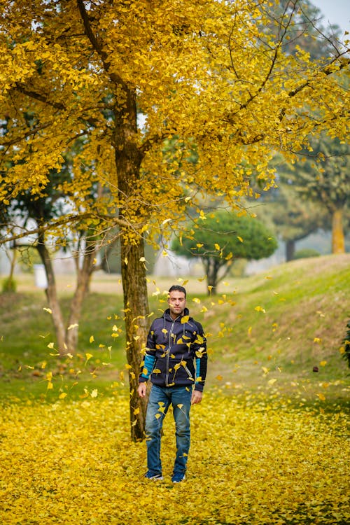 가을, 나뭇잎, 남자의 무료 스톡 사진