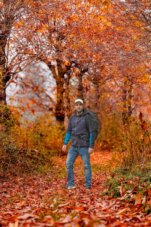 Man on Footpath among Colorful Trees in Autumn