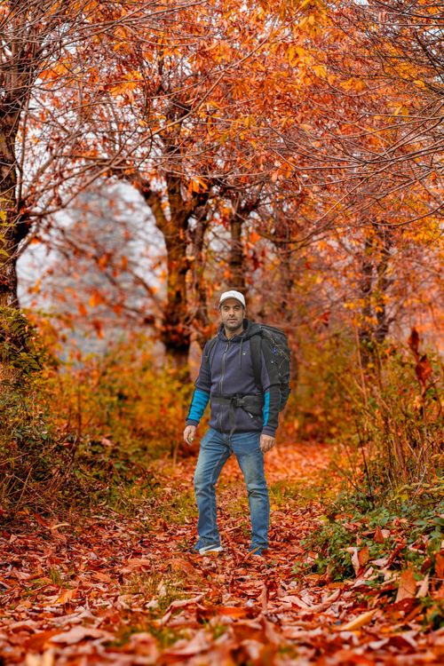 Man on Footpath among Colorful Trees in Autumn · Free Stock Photo