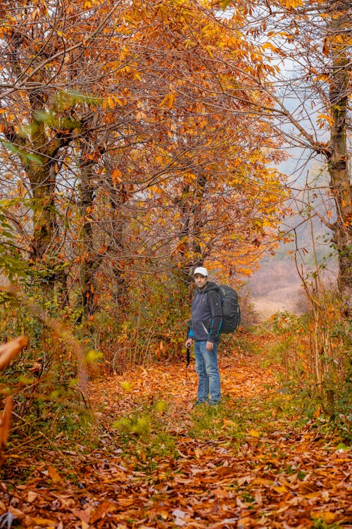Man Hiking in Forest in Autumn