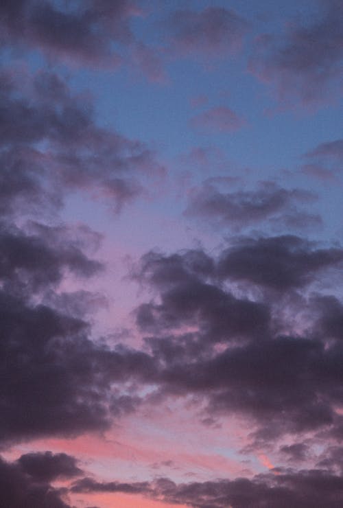 Foto stok gratis awan, backlit, langit